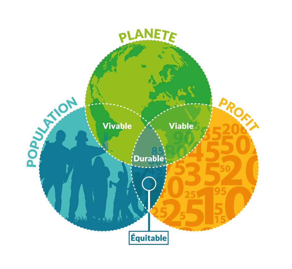 rse csr definition